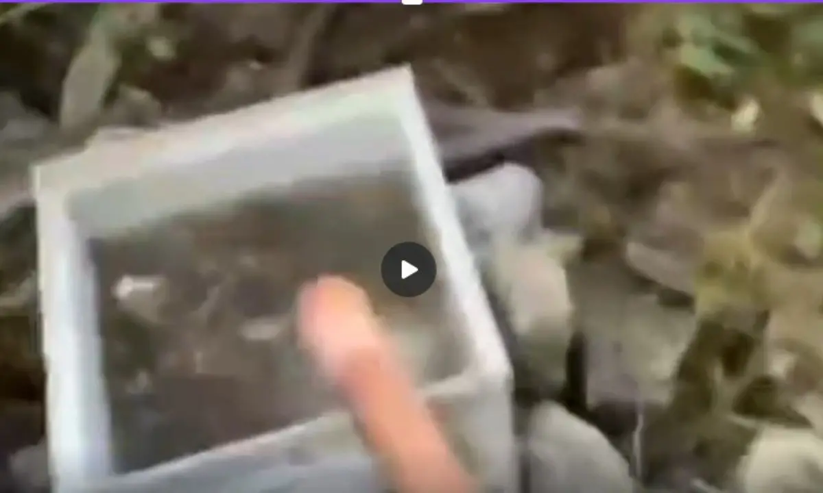 Sant’Agata d’Esaro, denuncia sulla qualità dell’acqua: «Rischio per la salute pubblica» | VIDEO\n