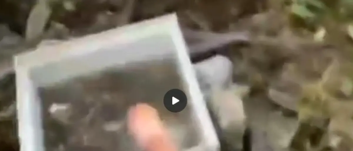 Sant’Agata d’Esaro, denuncia sulla qualità dell’acqua: «Rischio per la salute pubblica» | VIDEO\n