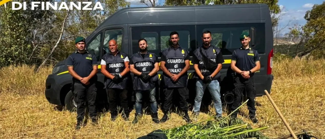 Crotone, sequestrata una piantagione di marijuana nella frazione Papanice: avrebbe fruttato 350mila euro\n