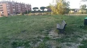 Violentata nel parco a Roma, fermato l'aggressore: «Ero drogato»\n