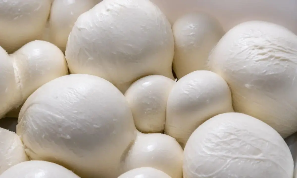 Richiamo di mozzarelle Latteria Soligo per «rischio chimico»\n