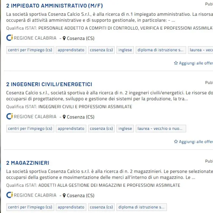 Il Cosenza Calcio torna sul mercato: cerca... ingegneri, magazzinieri e impiegati sul portale della Regione\n