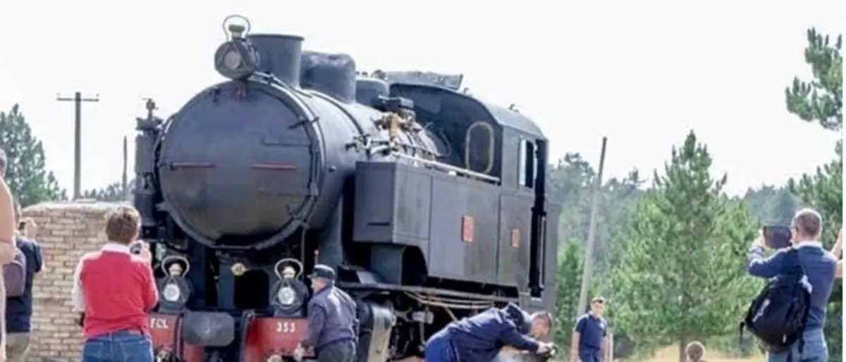 Sui binari della fede con il Treno della Sila: sulle orme dell’Abate Gioacchino