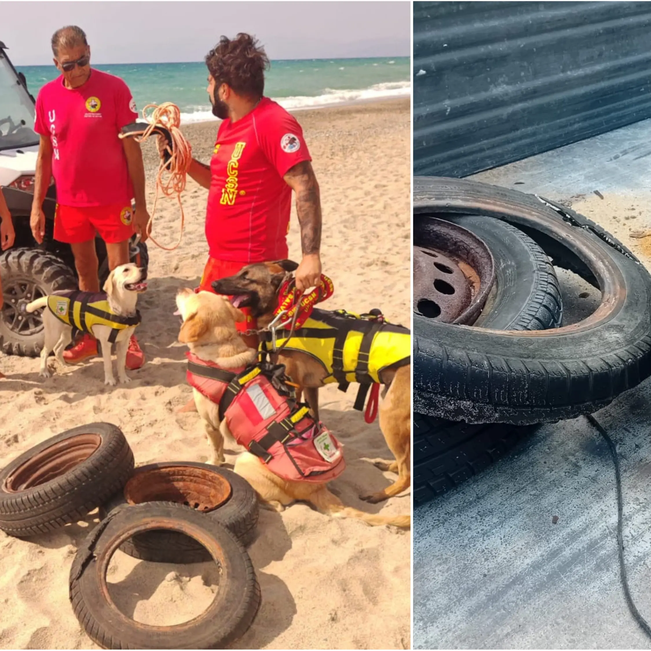 Sellia Marina, l'Unità cinofila di salvataggio nautico rimuove materiale inquinante dai fondali marini\n