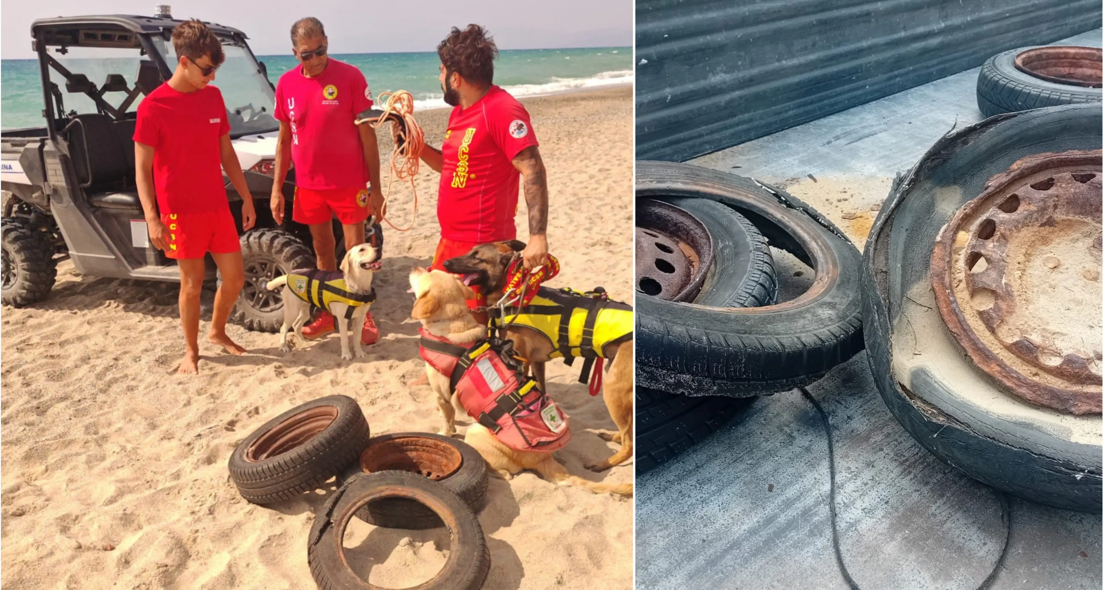 Sellia Marina, l'Unità cinofila di salvataggio nautico rimuove materiale inquinante dai fondali marini\n