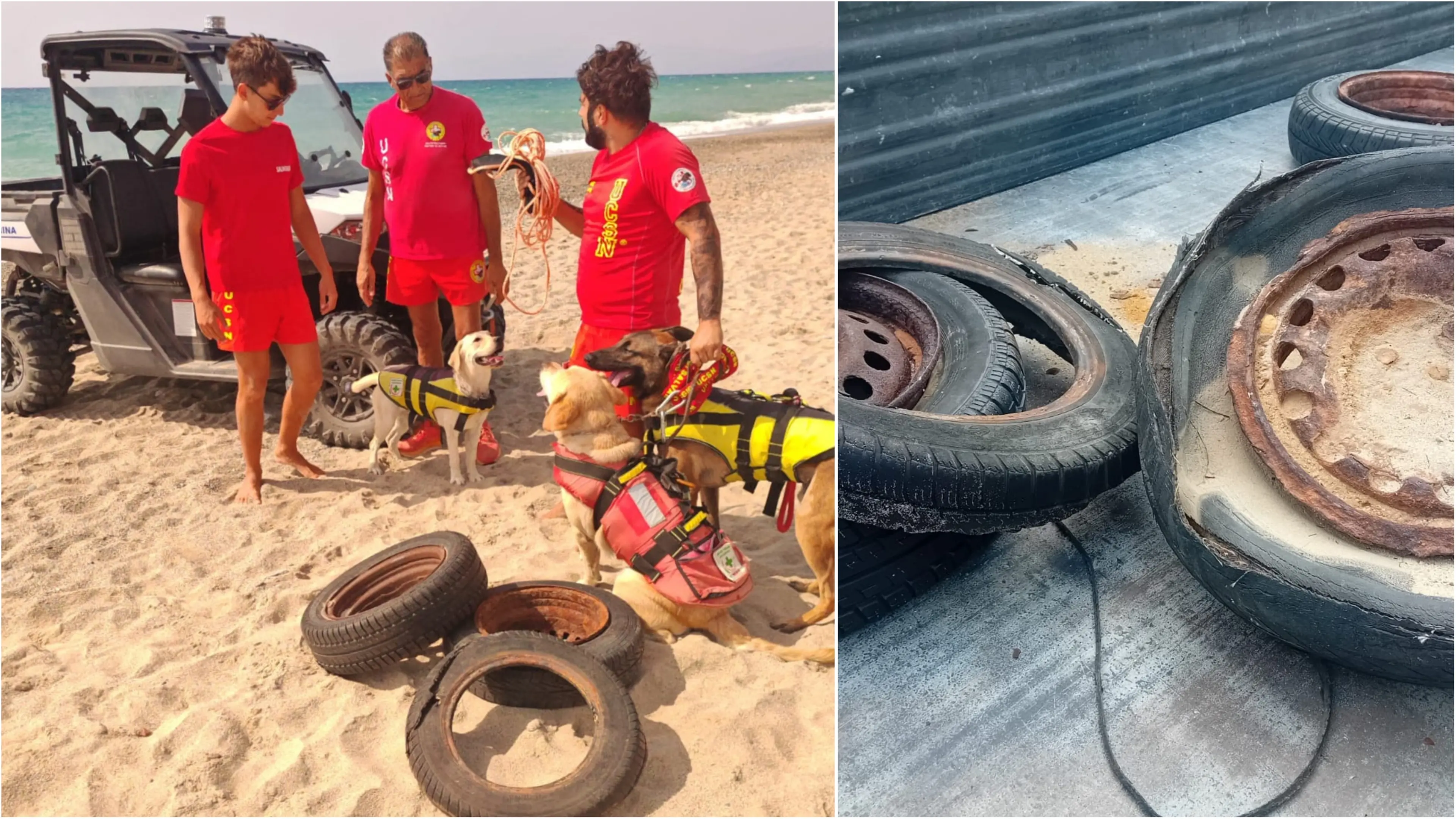 Sellia Marina, l'Unità cinofila di salvataggio nautico rimuove materiale inquinante dai fondali marini\n