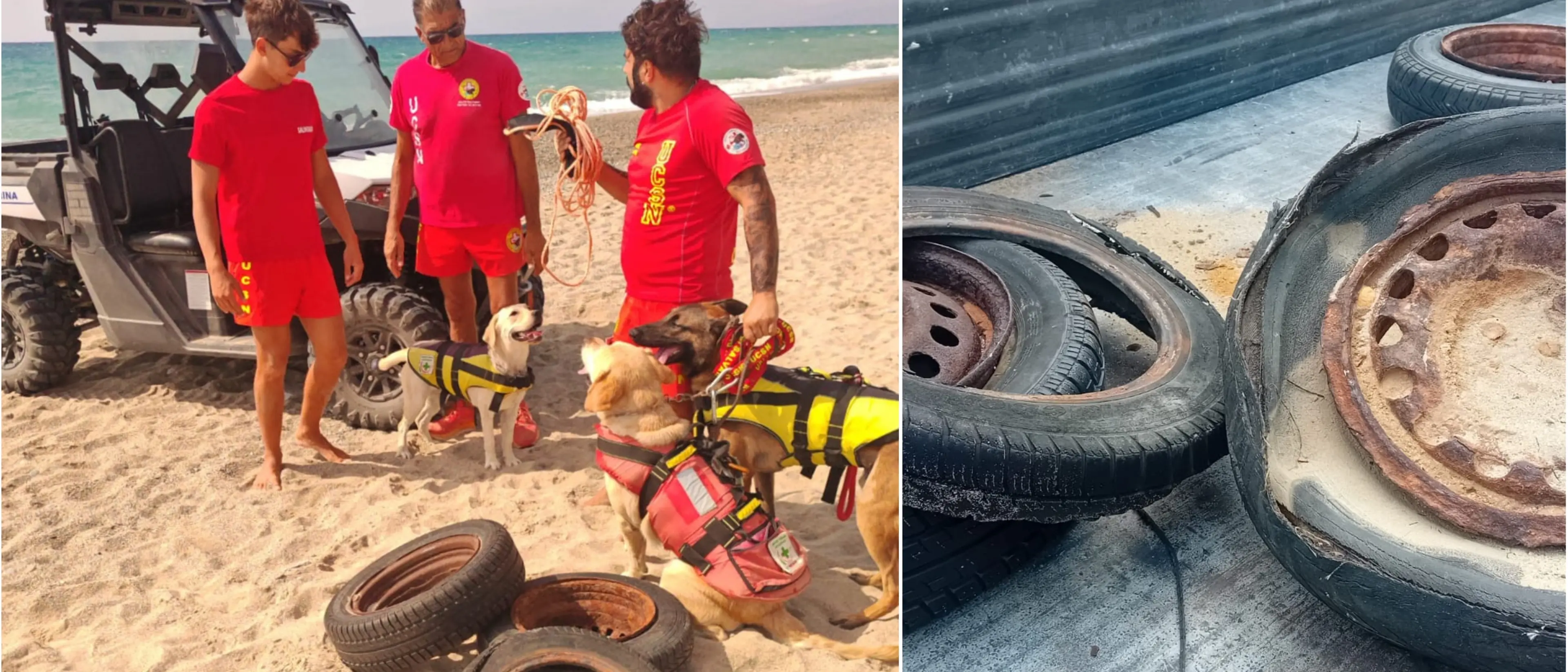 Sellia Marina, l'Unità cinofila di salvataggio nautico rimuove materiale inquinante dai fondali marini\n