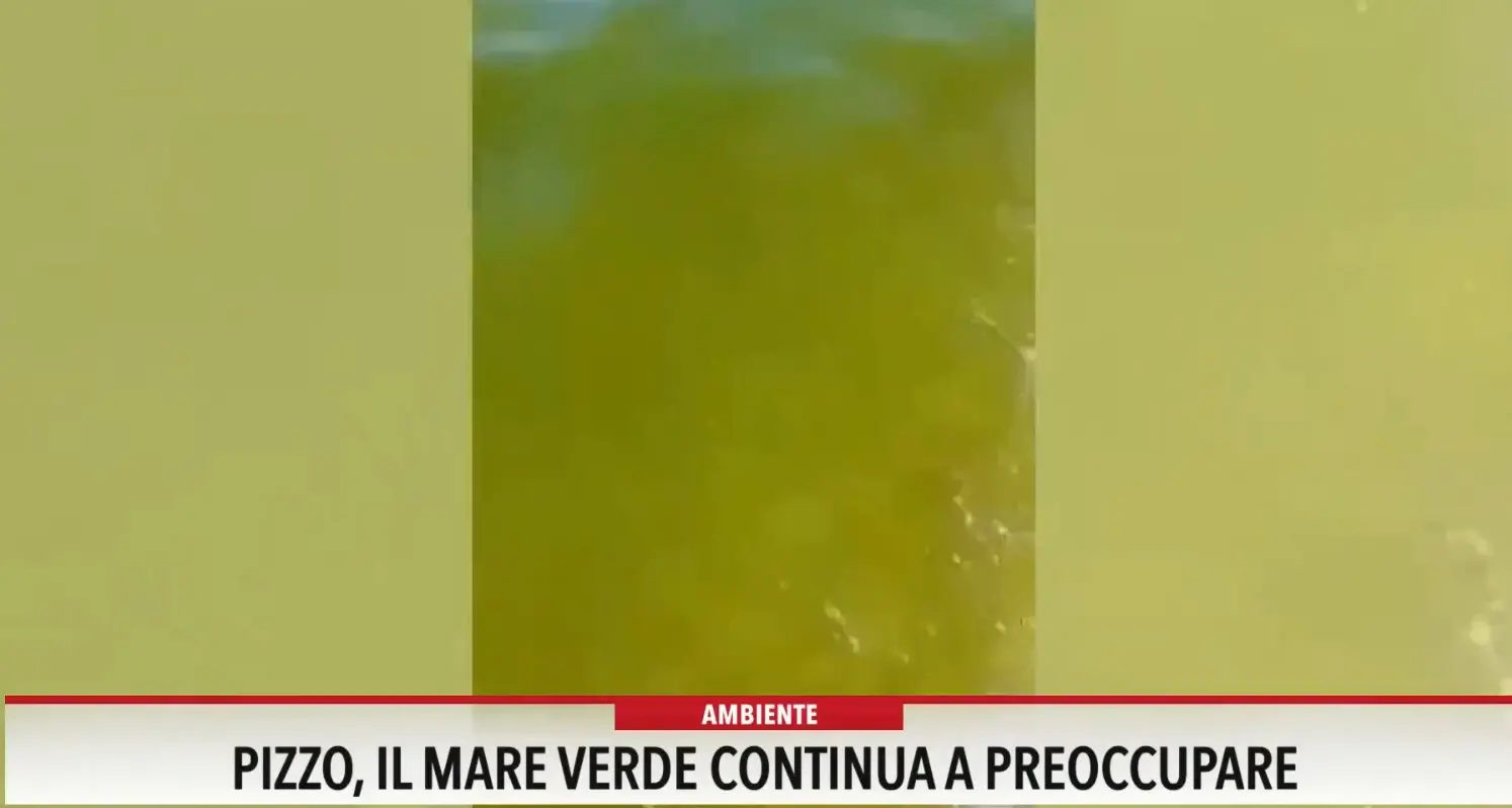 Pizzo, il mare verde continua a preoccupare