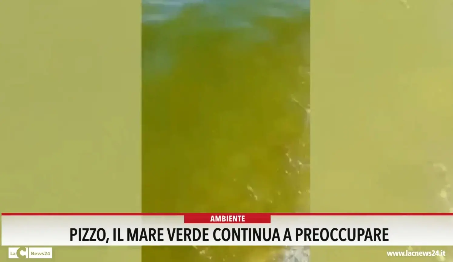Pizzo, il mare verde continua a preoccupare