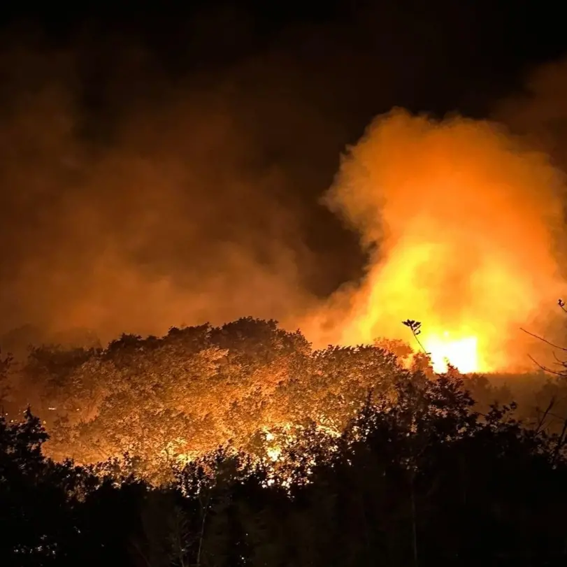 Incendi boschivi: in Italia 55mila interventi dal 15 giugno al 29 agosto, in Calabria oltre 400 nell’ultima settimana\n