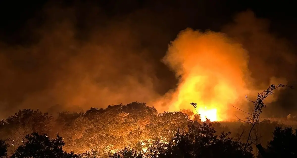 Incendi boschivi: in Italia 55mila interventi dal 15 giugno al 29 agosto, in Calabria oltre 400 nell’ultima settimana\n