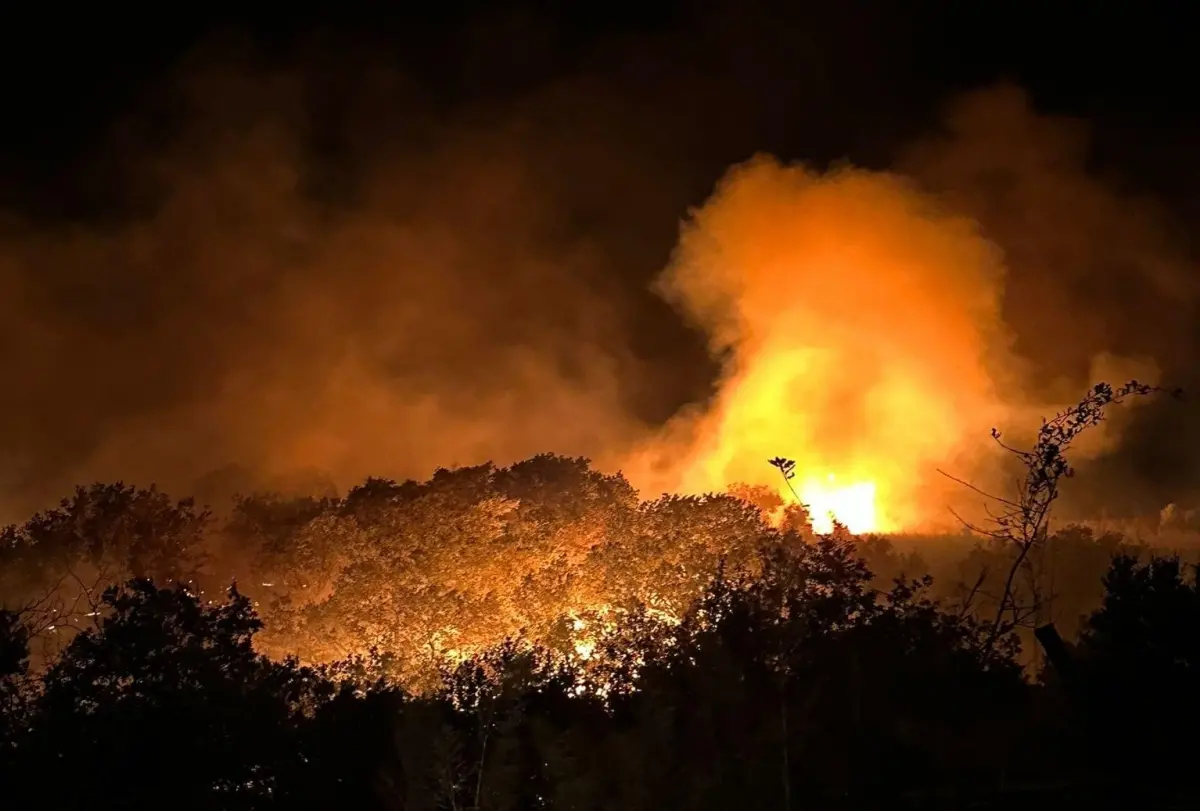 Incendi boschivi: in Italia 55mila interventi dal 15 giugno al 29 agosto, in Calabria oltre 400 nell’ultima settimana\n