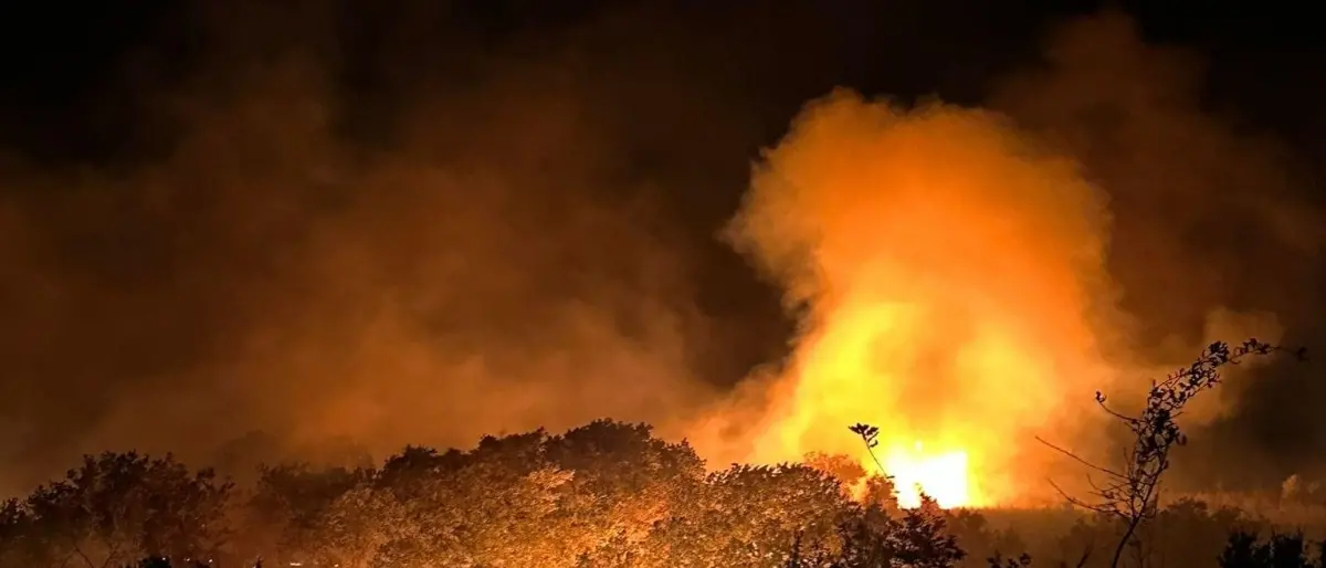 Incendi boschivi: in Italia 55mila interventi dal 15 giugno al 29 agosto, in Calabria oltre 400 nell’ultima settimana\n