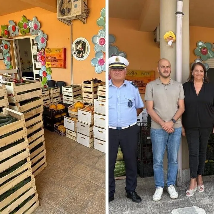 Mancate autorizzazioni per la vendita, sequestrate 2\u00A0tonnellate di frutta e verdura\u00A0 nel Vibonese. Prodotti\u00A0dati\u00A0in beneficenza\u00A0\n