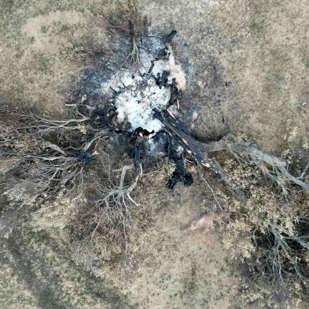 A LaC Storie la rinascita del Percorso di Ulisse, suggestivo itinerario di trekking distrutto da un incendio