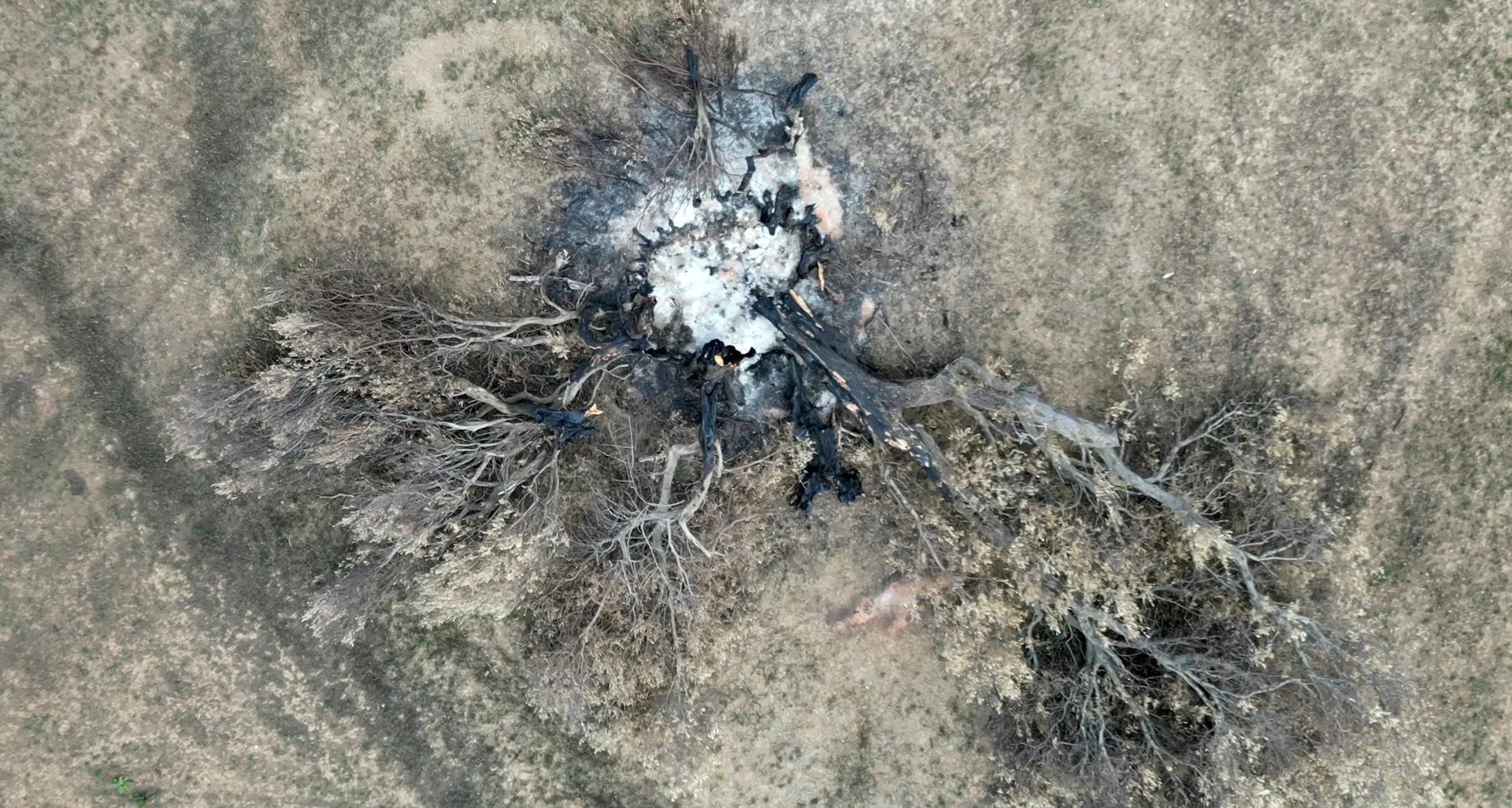 A LaC Storie la rinascita del Percorso di Ulisse, suggestivo itinerario di trekking distrutto da un incendio