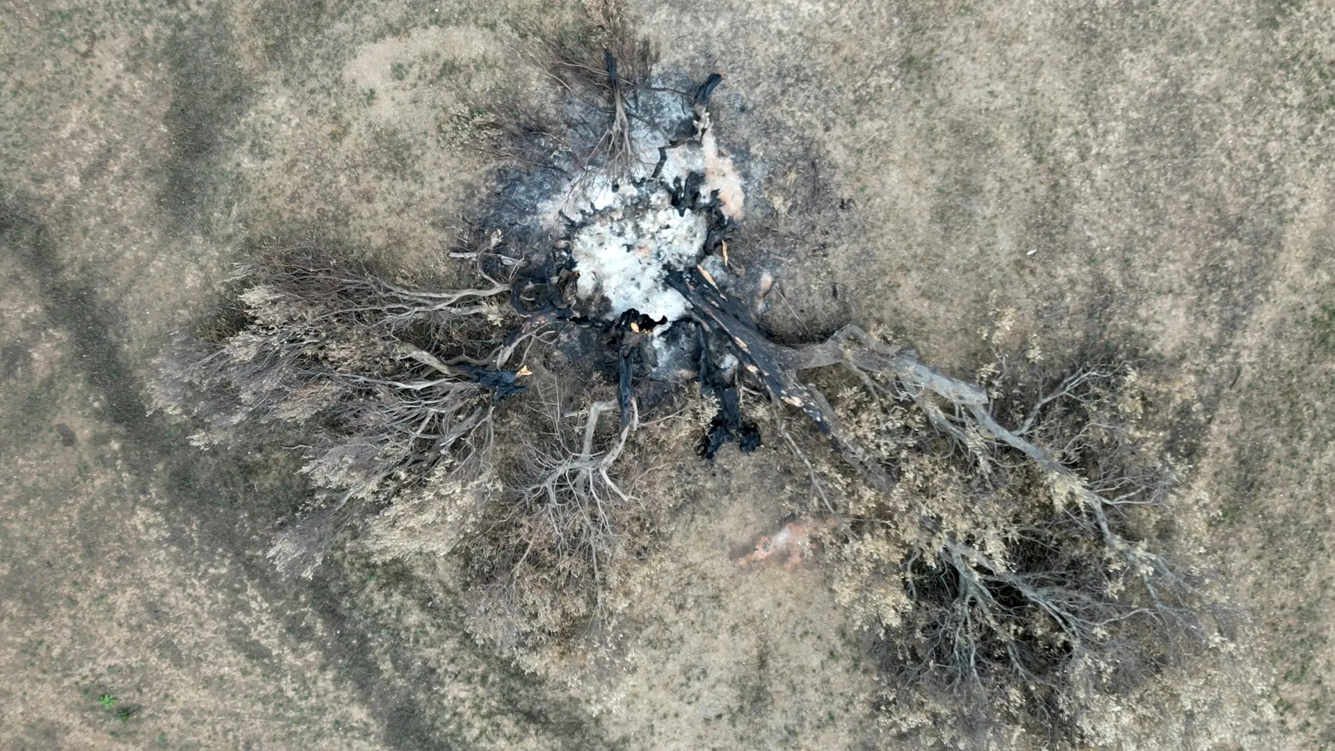 A LaC Storie la rinascita del Percorso di Ulisse, suggestivo itinerario di trekking distrutto da un incendio