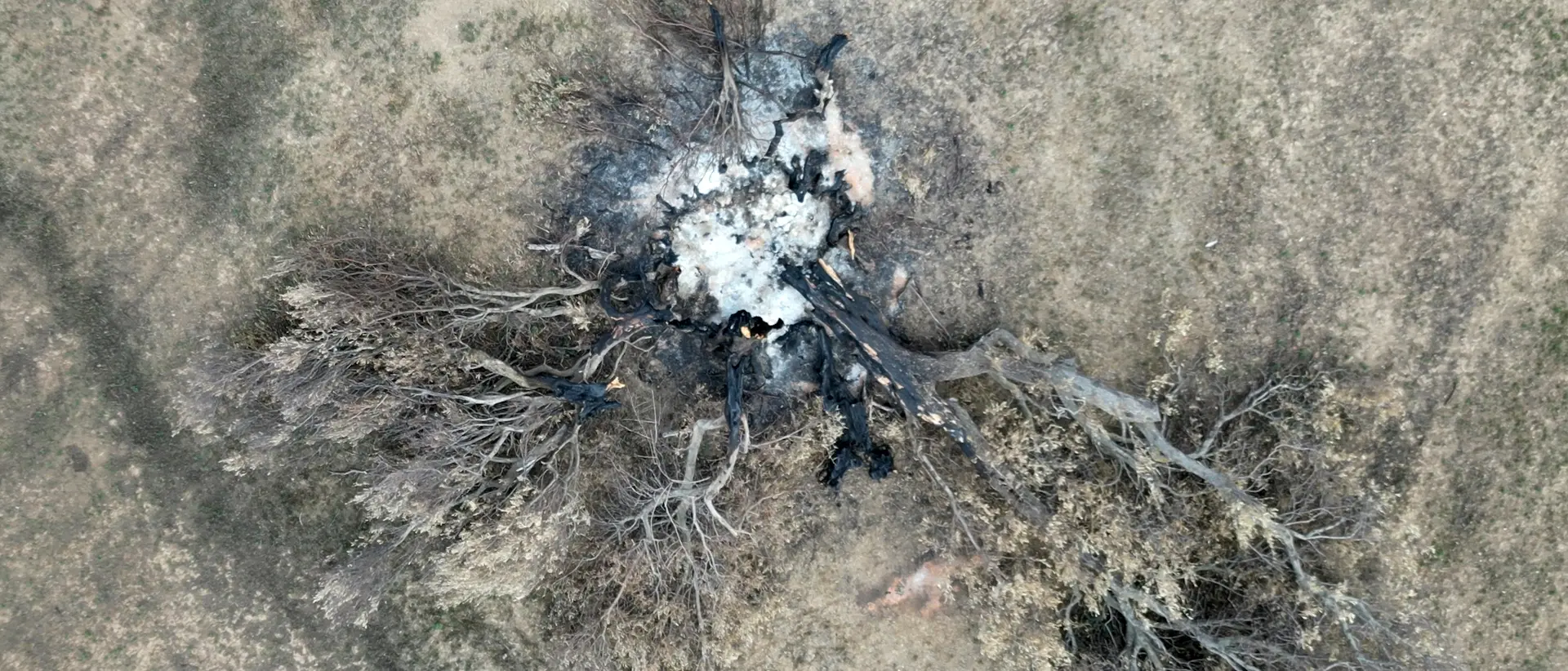 A LaC Storie la rinascita del Percorso di Ulisse, suggestivo itinerario di trekking distrutto da un incendio