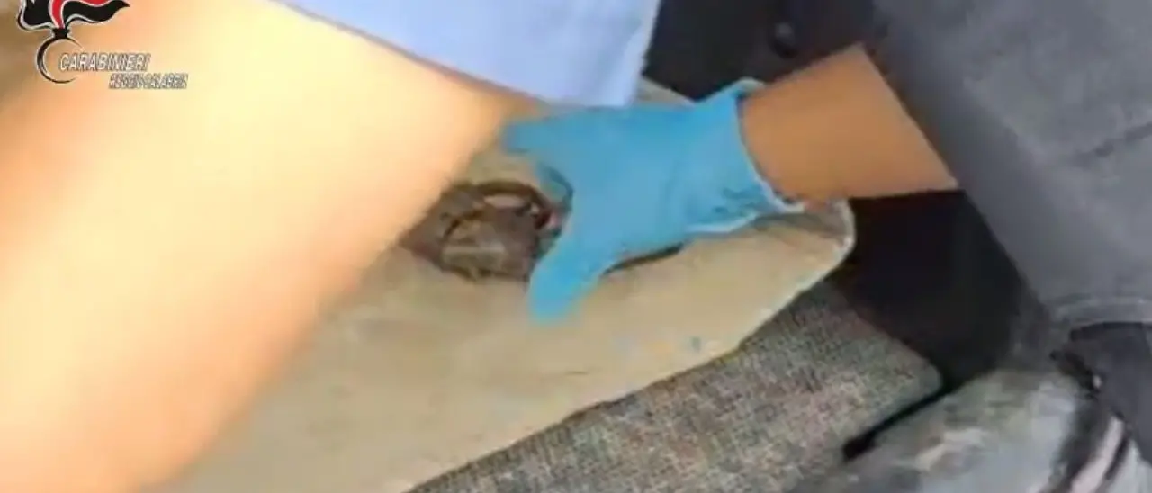 Fermato in auto con una pistola clandestina: un arresto nel Reggino