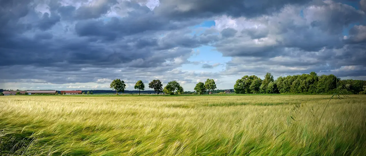 Il maltempo al Nord richiama il caldo africano sulla Calabria: temperature in salita oltre i 30 gradi e\u00A0venti forti\n