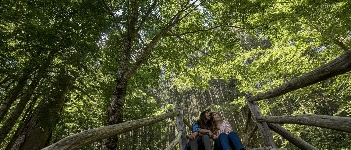 Giganti della Sila, si chiudono le Sere FAI d’Estate con la musica tradizionale calabrese di Francesco Denaro\n