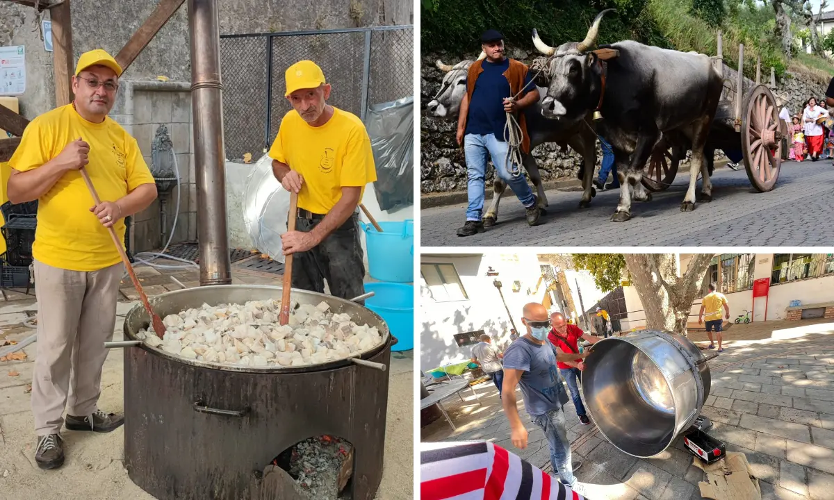 La Sagra della Polenta di Dipignano: 60 anni di tradizione e gemellaggio | VIDEO