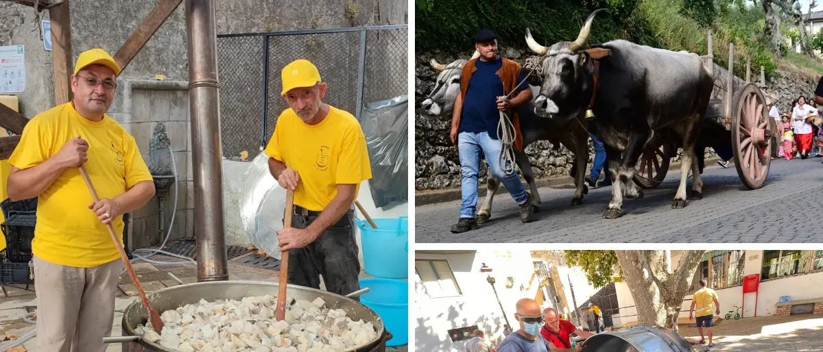 La Sagra della Polenta di Dipignano: 60 anni di tradizione e gemellaggio | VIDEO