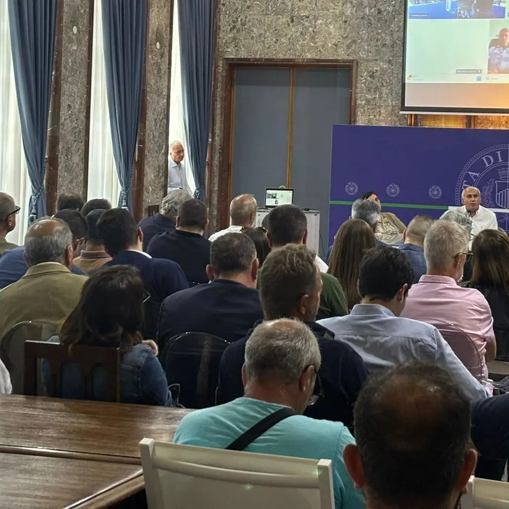 Tis, il Comune di Cosenza ha stabilizzato 31 lavoratori. Caruso: «Il loro contributo è indispensabile»\u00A0\n