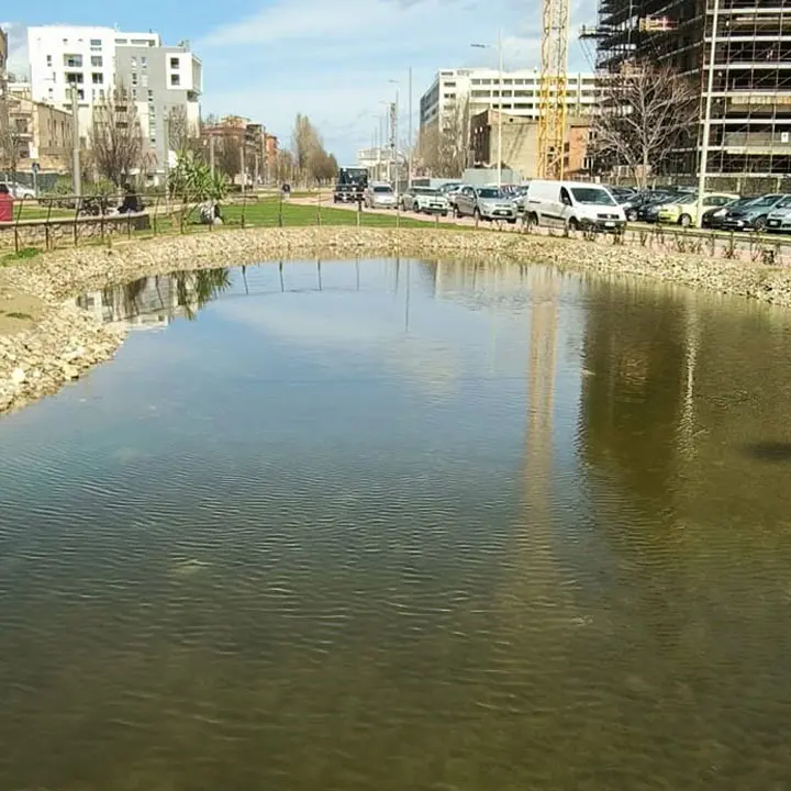 Cosenza, avvelenati i pesci nel laghetto del Parco del Benessere su viale Mancini