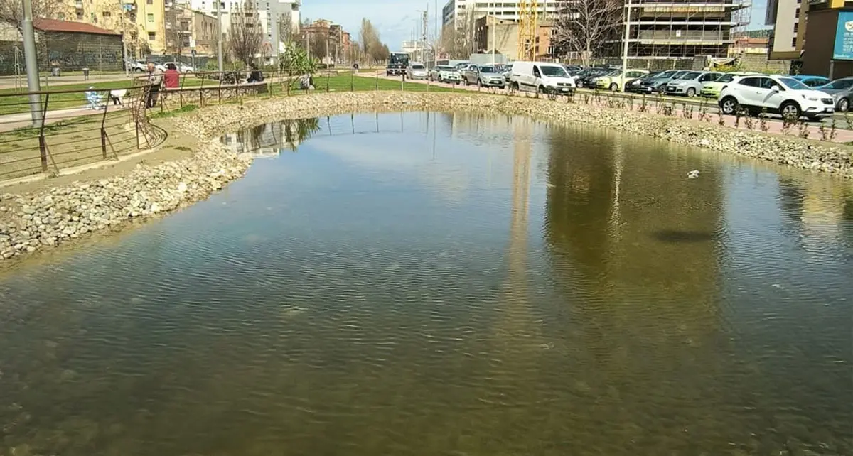 Cosenza, avvelenati i pesci nel laghetto del Parco del Benessere su viale Mancini