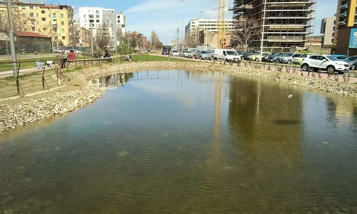 Cosenza, avvelenati i pesci nel laghetto del Parco del Benessere su viale Mancini