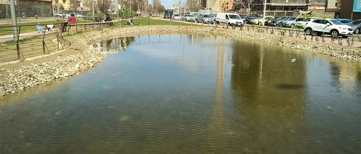 Cosenza, avvelenati i pesci nel laghetto del Parco del Benessere su viale Mancini