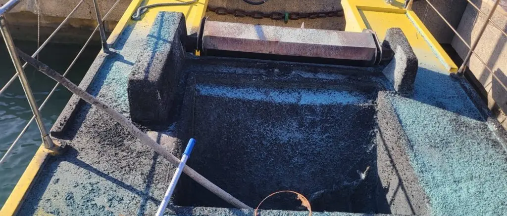 Attentato incendiario a un battello pulisci mare ad Amantea, Mannarino (Fdi): «Atto grave che colpisce la collettività»\n\n\n