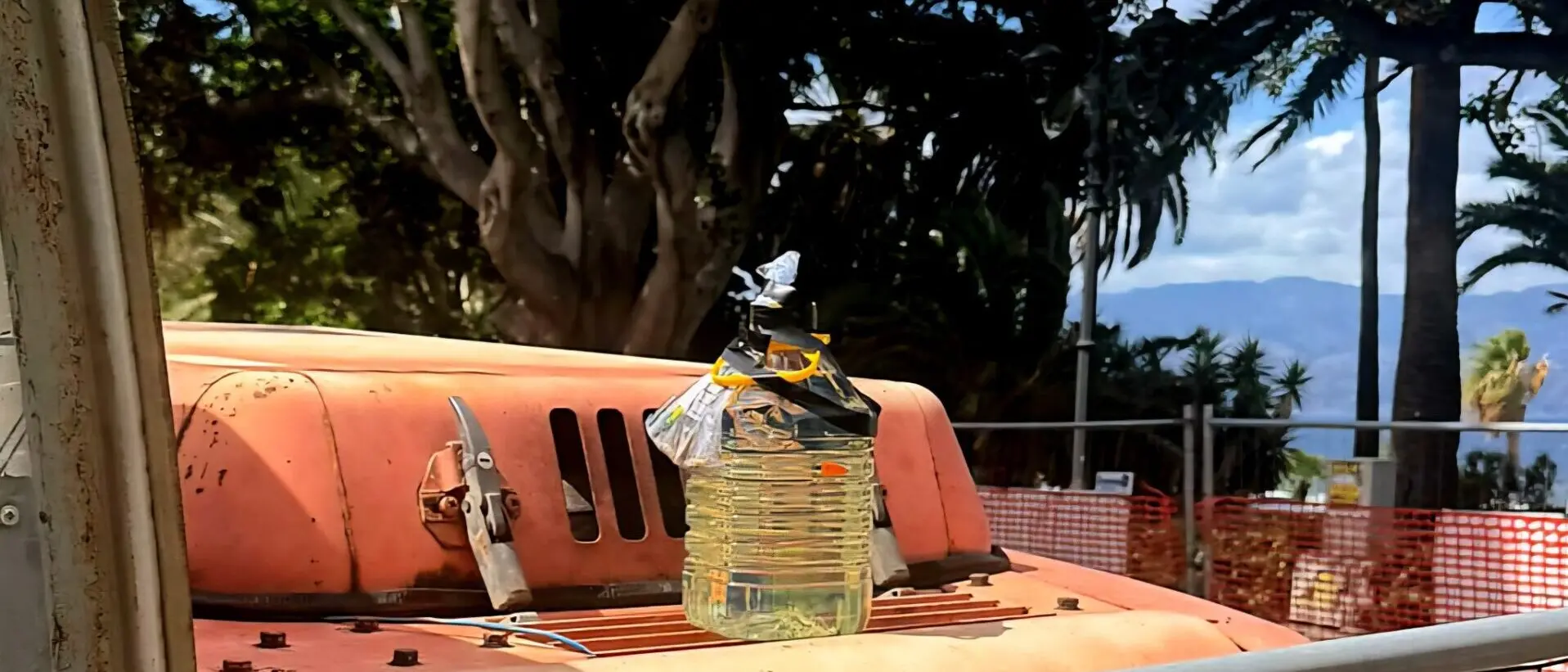 Reggio Calabria, ritrovati una bottiglia e una bustina di proiettili al cantiere del cinema Orchidea\n