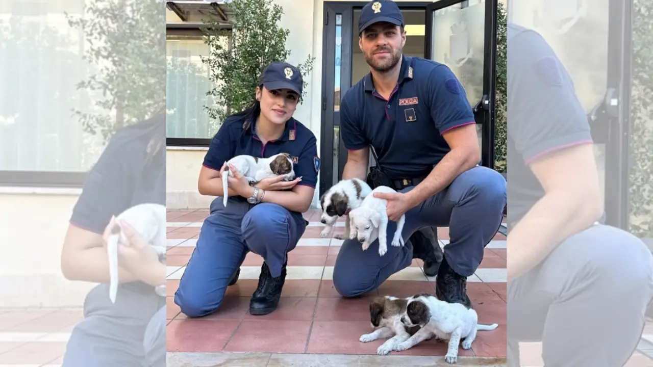 Abbandonati in un sacco sul ciglio della strada, poliziotti salvano sei cagnolini a Crotone