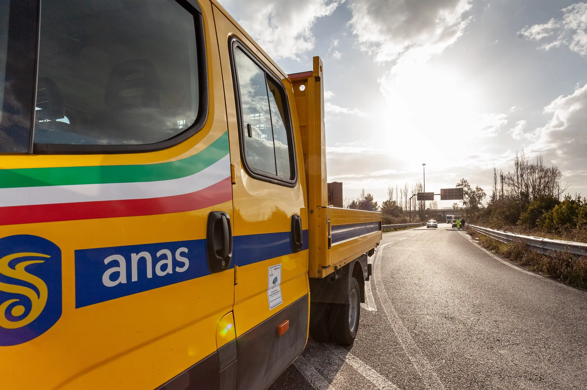 Anas