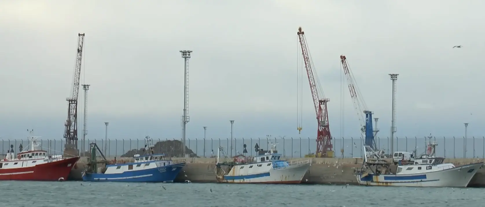 Corigliano-Rossano, lo sviluppo del porto per il rilancio del territorio:\u00A0«Serve una pianificazione chiara e condivisa»
