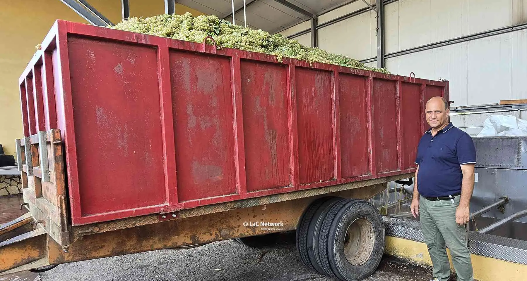 La vendemmia di Pecorello a Cirò spiegata da Valentino Zito: vinificazione da mosto fiore e temperature controllate