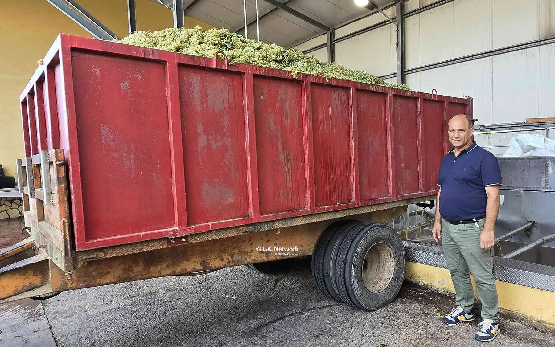 La vendemmia di Pecorello a Cirò spiegata da Valentino Zito: vinificazione da mosto fiore e temperature controllate