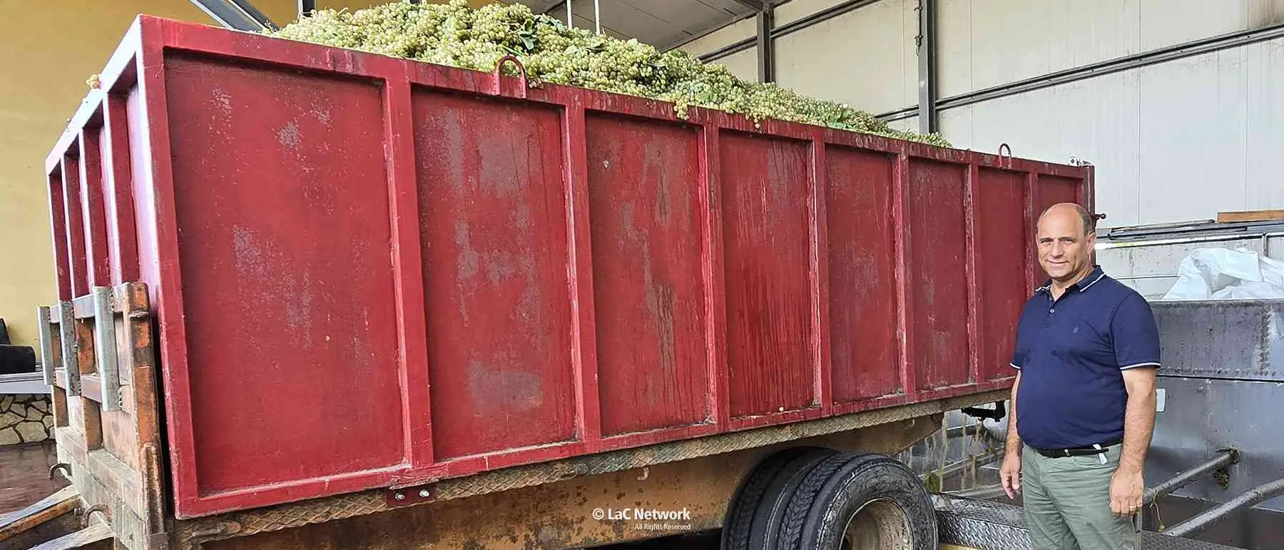 La vendemmia di Pecorello a Cirò spiegata da Valentino Zito: vinificazione da mosto fiore e temperature controllate