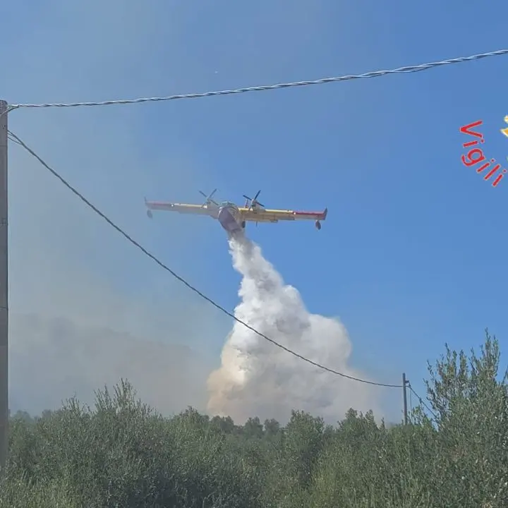 Incendio a Borgia, le fiamme minacciano un agriturismo: canadair in azione\u00A0\n