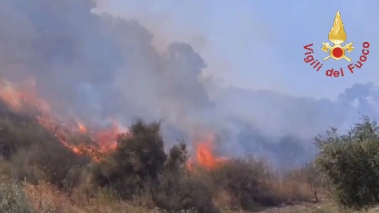 Paura a Borgia, un incendio minaccia un agriturismo: canadair in azione