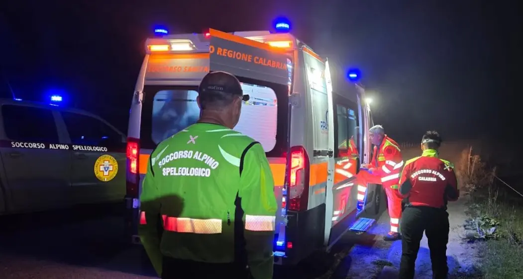 Viene punto da uno sciame di vespe nei boschi del Pollino, interviene il Soccorso alpino\n