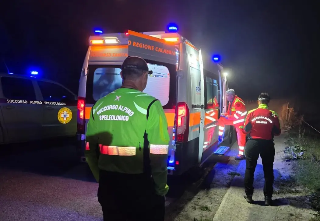 Viene punto da uno sciame di vespe nei boschi del Pollino, interviene il Soccorso alpino\n