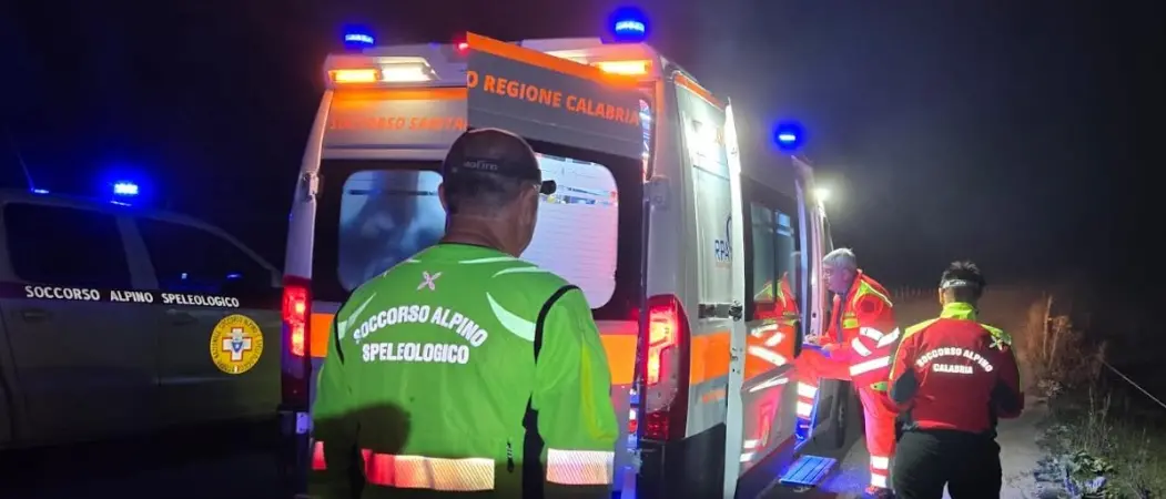 Viene punto da uno sciame di vespe nei boschi del Pollino, interviene il Soccorso alpino\n