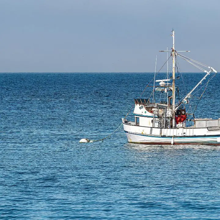 Pesca in Calabria, dalla Regione 2,7 milioni per l’acquisto di attrezzature e l'ammodernamento impianti