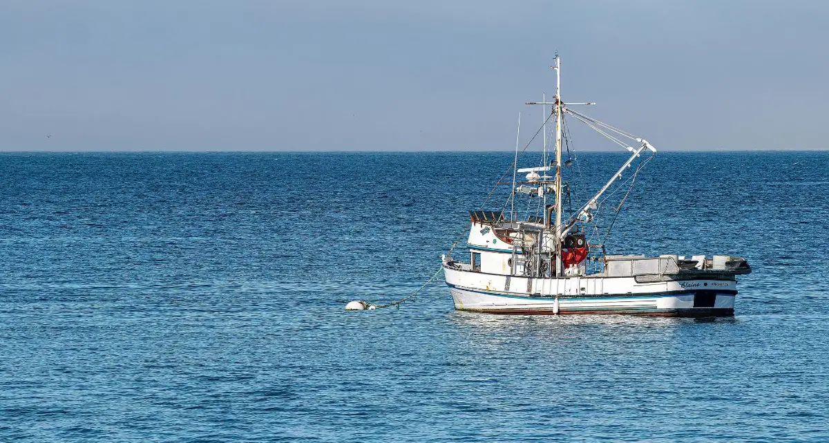 Pesca in Calabria, dalla Regione 2,7 milioni per l’acquisto di attrezzature e l'ammodernamento impianti