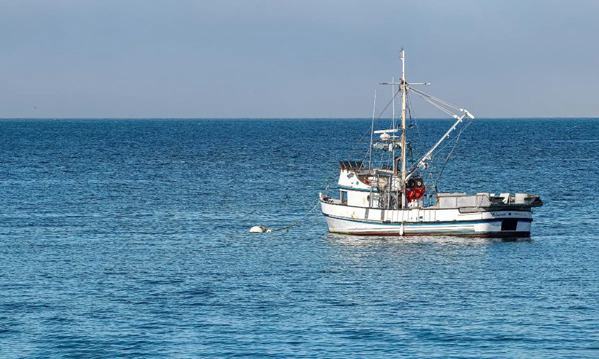 Pesca in Calabria, dalla Regione 2,7 milioni per l’acquisto di attrezzature e l'ammodernamento impianti