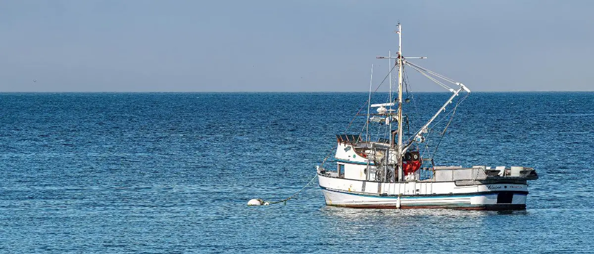 Pesca in Calabria, dalla Regione 2,7 milioni per l’acquisto di attrezzature e l'ammodernamento impianti