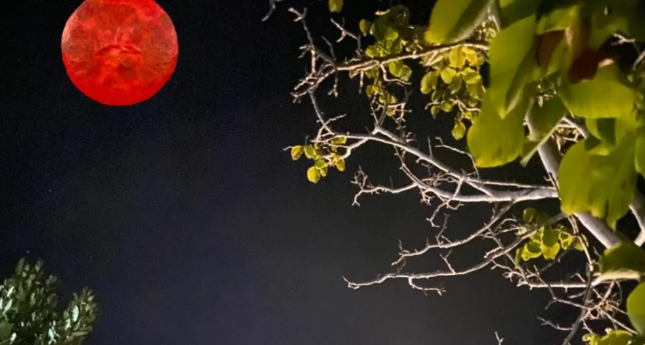 L’eclissi incanta la Calabria, tutti col naso all’insù per la luna di sangue\n